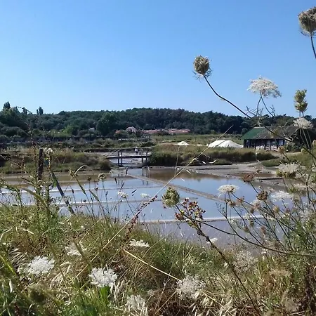 La Chaumette 펜션 Les Sables-dʼOlonne
